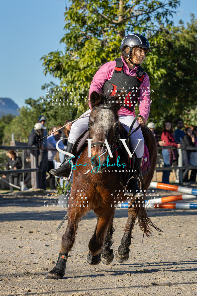 IMG_7730 | s-jay-photography - Realisiert mit Pictrs.com