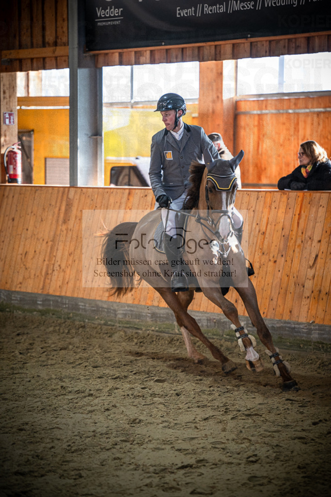 DOS_0611 | Entdecke hochwertige Reitturnierfotos von Foto Oger. Professionell, emotional und authentisch – jetzt Lieblingsmomente im Shop bestellen.Deutschlandweite Turnierfotografie. - Realisiert mit Pictrs.com