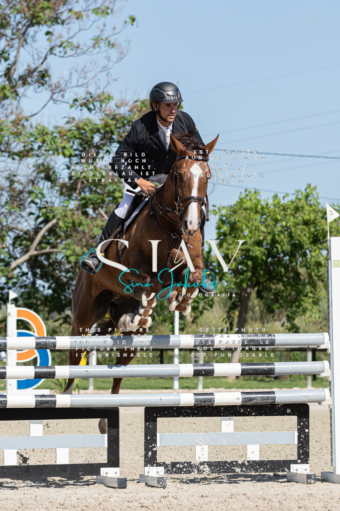 IMG_0857 | s-jay-photography - Realisiert mit Pictrs.com