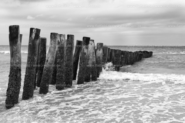 Holzpfähle im Meer bei Wissant III | Gesehen in der Normandie