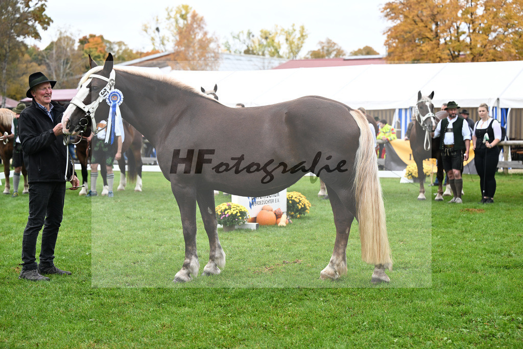 Kat-Nr. 37 Bordeaux N v. Versailles_Neumayr_41250892 | hf-fotografie - Realizzato con Pictrs.com