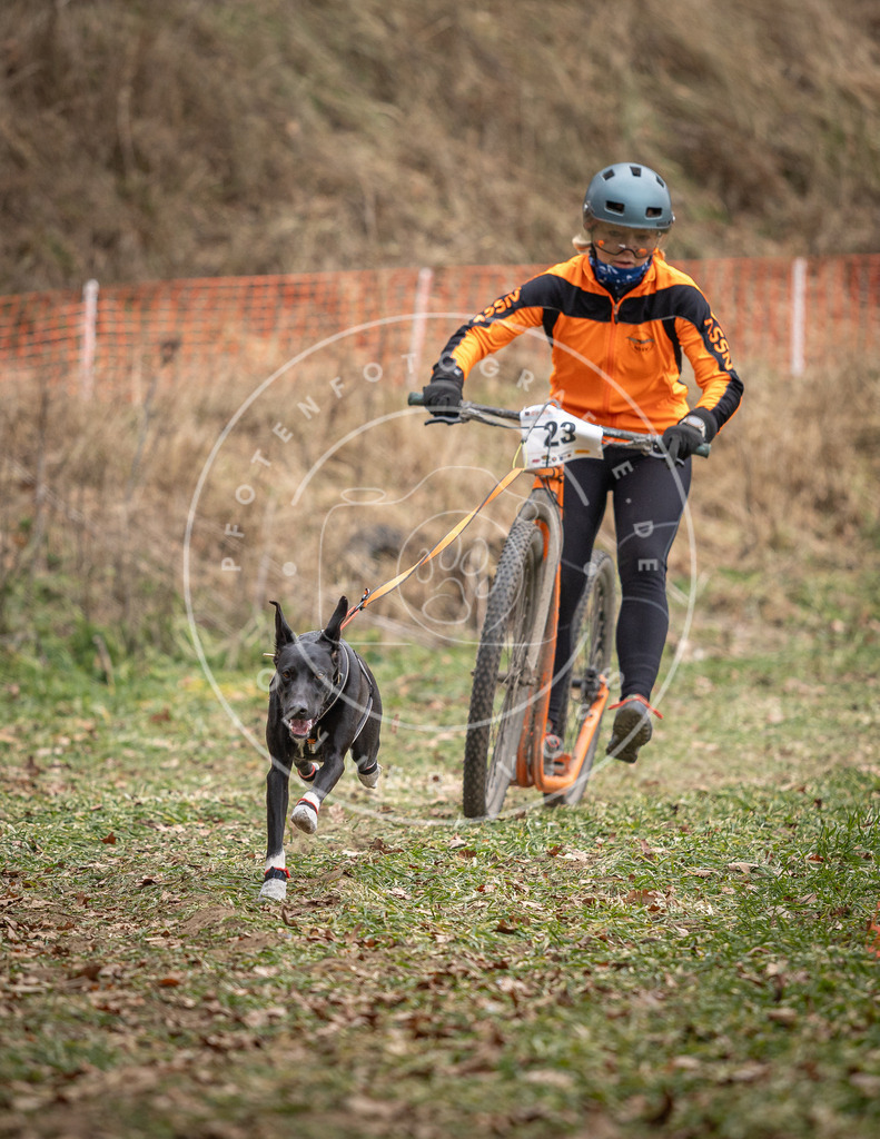 Pfotenfotografie_DV3A7257 | Hundefotografie, Tierfotograf, Pfotenfotografie, Fotoshooting Hund, Hunde Portrait, Hundesport, Hundeportraits, Heideshooting, Hunde, Sportfotograf, Hundefotograf, Turnierhundsport, THS,  - Realisiert mit Pictrs.com