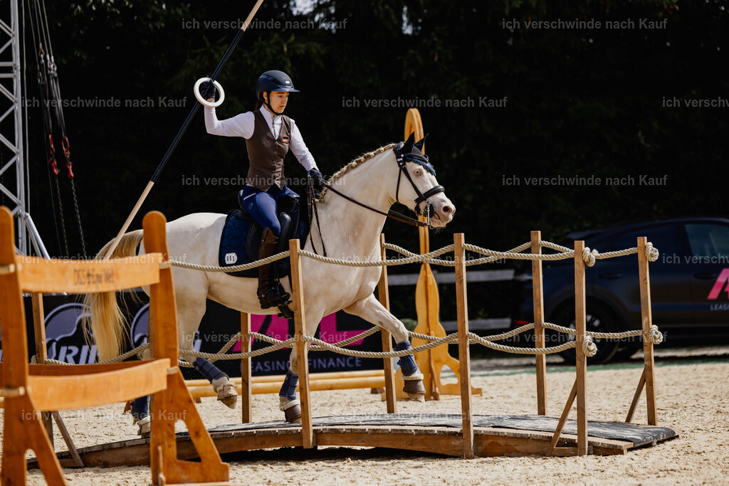 Nici11_FHC2025-29992 | working equitationturnier fotograf videograf stoibphotography marixx film working equitation deutschland reitsport turnierfotografie eventfotografie equestrian events