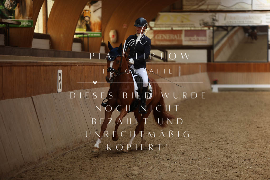 IMGS0105 | pl-fotografie