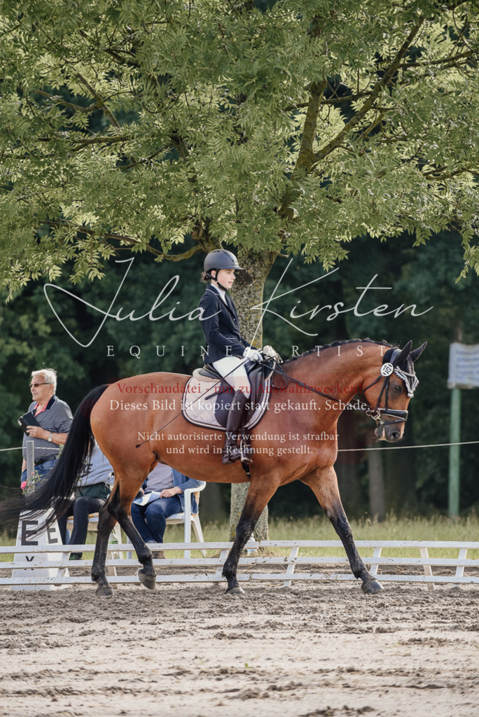 DSC_8077 | Pferde- und Turnierfotografie in Westsachsen. Pferdeportraits, Auftragszeichnungen und intuitive Kunst.