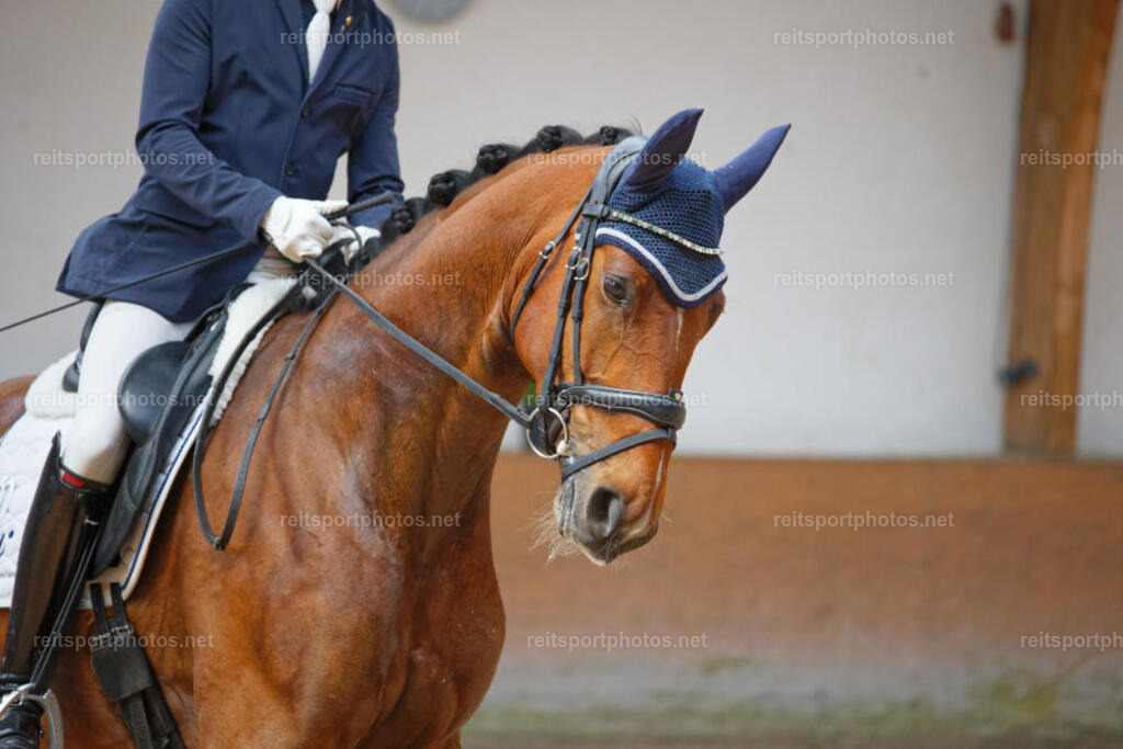 JHE_2223 | JoYa Fotografie - Realisiert mit Pictrs.com