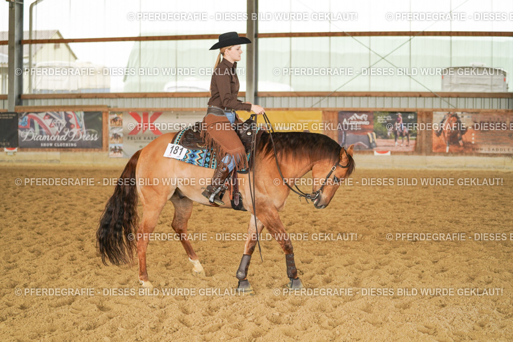 DSC04707 | Pferdegrafie