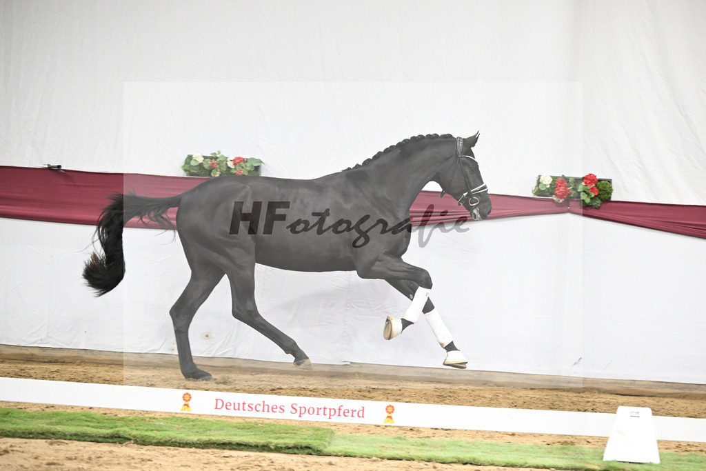 Kat-Nr. 39 Secret x Finest_Ignaz Berger_47251393 | hf-fotografie - Realisiert mit Pictrs.com