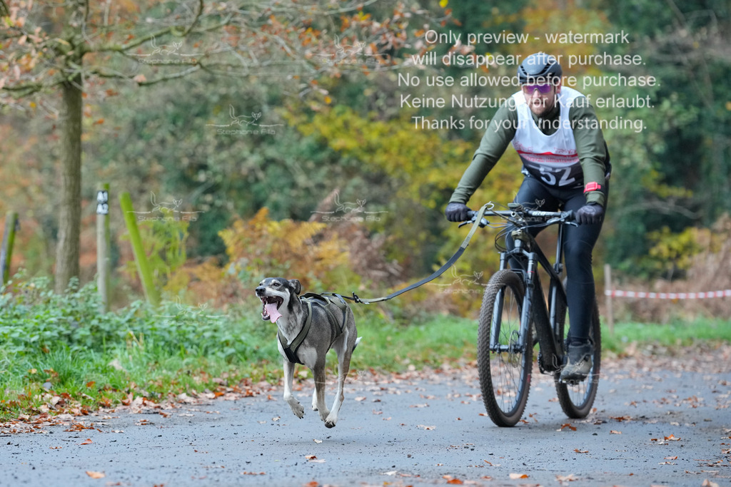 Bike_So-135 | stephaniefillaphotographie - Realisiert mit Pictrs.com