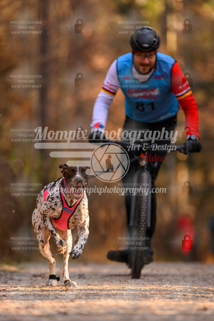 MompixPhotography_DM_AKDM_SO_2025_Scooter-136 | PayLife