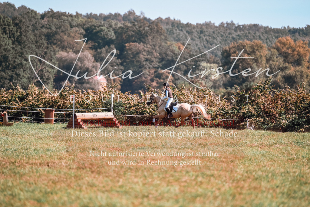 DSC_1121 | Pferde- und Turnierfotografie in Westsachsen. Pferdeportraits, Auftragszeichnungen und intuitive Kunst.