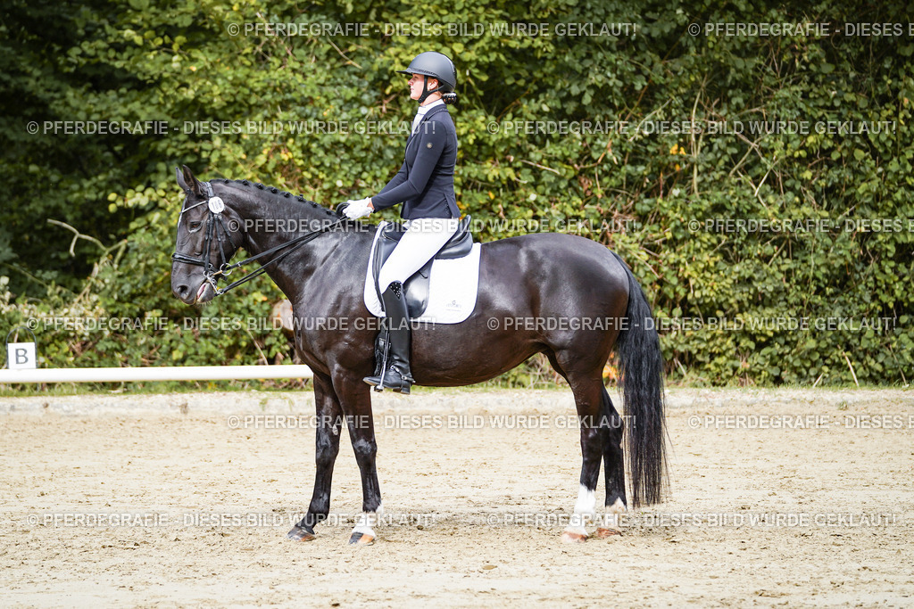 DSC05213 | Pferdegrafie