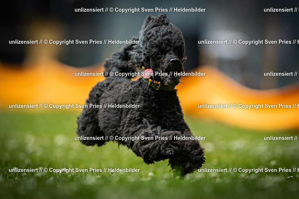 Sven Pries | 2025-05-29 - Pudelrennen KA-Durlach - Realisiert mit Pictrs.com