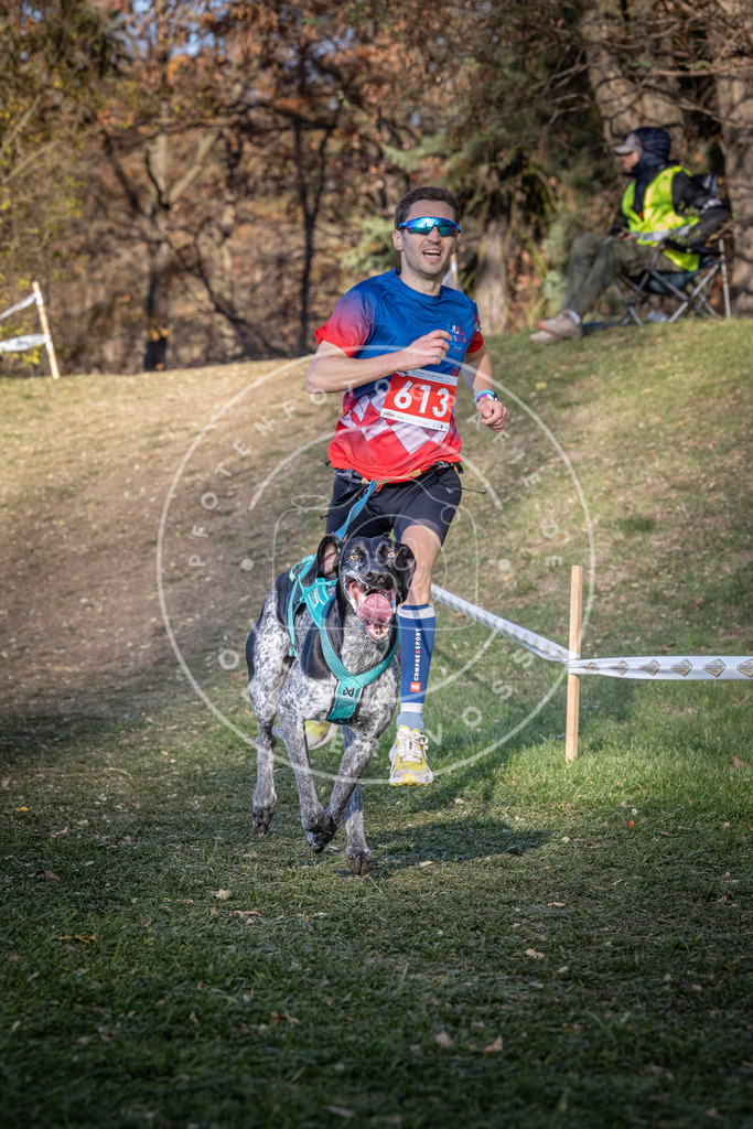 CaniXpix_0L8A8720 | Hundefotografie, Tierfotograf, Pfotenfotografie, Fotoshooting Hund, Hunde Portrait, Hundesport, Hundeportraits, Heideshooting, Hunde, Sportfotograf, Hundefotograf, Turnierhundsport, THS,  - Realisiert mit Pictrs.com