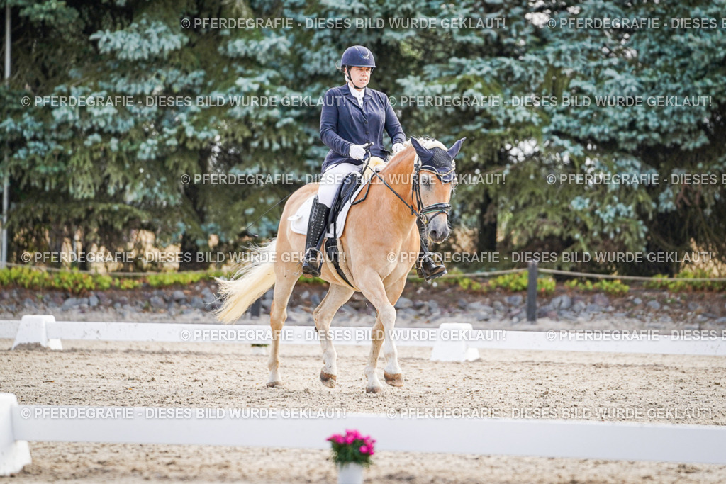 DSC00645 | Pferdegrafie