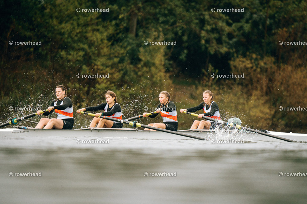 20251005_rowerhead_R032_S0378_DSC07594 | rowerhead - Realisiert mit Pictrs.com