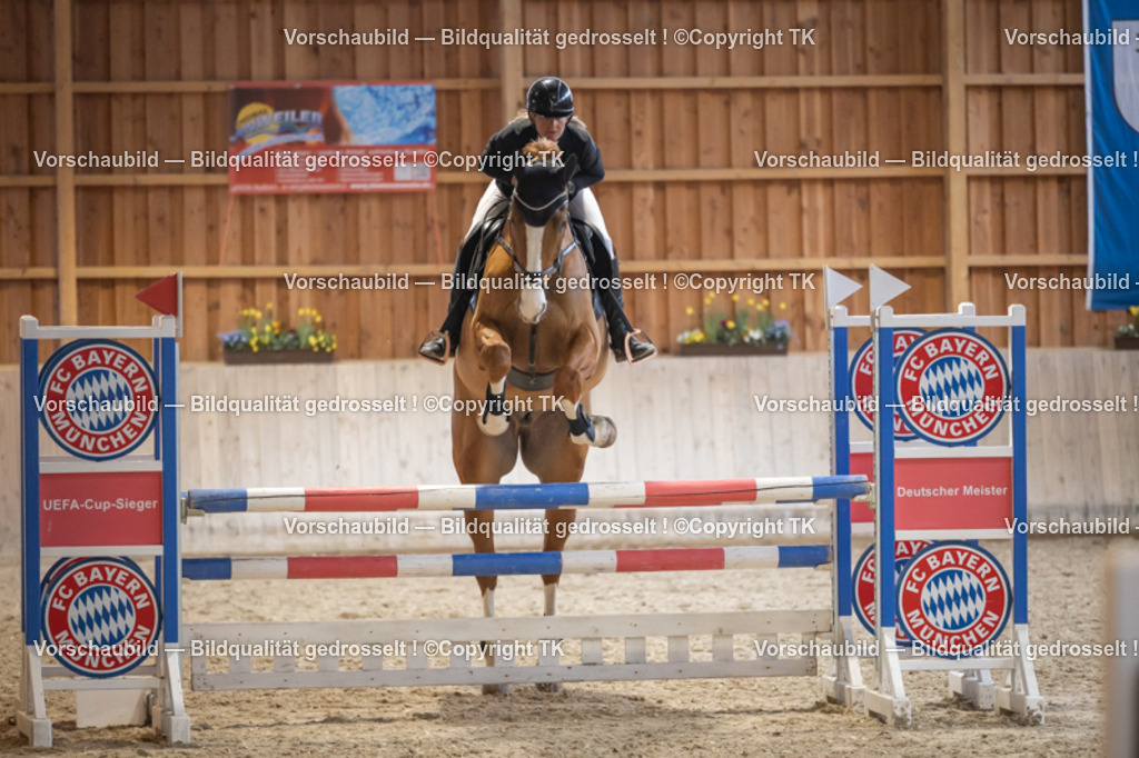 _D5A8628 | Emotionale Pferde- & People-Fotografie rund um Heidelberg, Leimen & Umgebung. Natürliche Fotos von Pferd, Mensch & Familie. Jetzt Termin sichern!