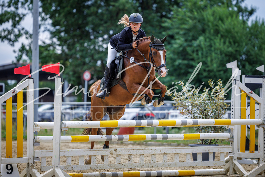 20260705-_3LI5449 | Tierfotografie Pferde, Hunde, Katzen, Haustiere.
Turnierfotografie Reitturniere, Reiten, Springreiten, Dressur in Hanau, dem Main-Kinzig-Kreis und dem Rhein-Main- Gebiet um Frankfurt