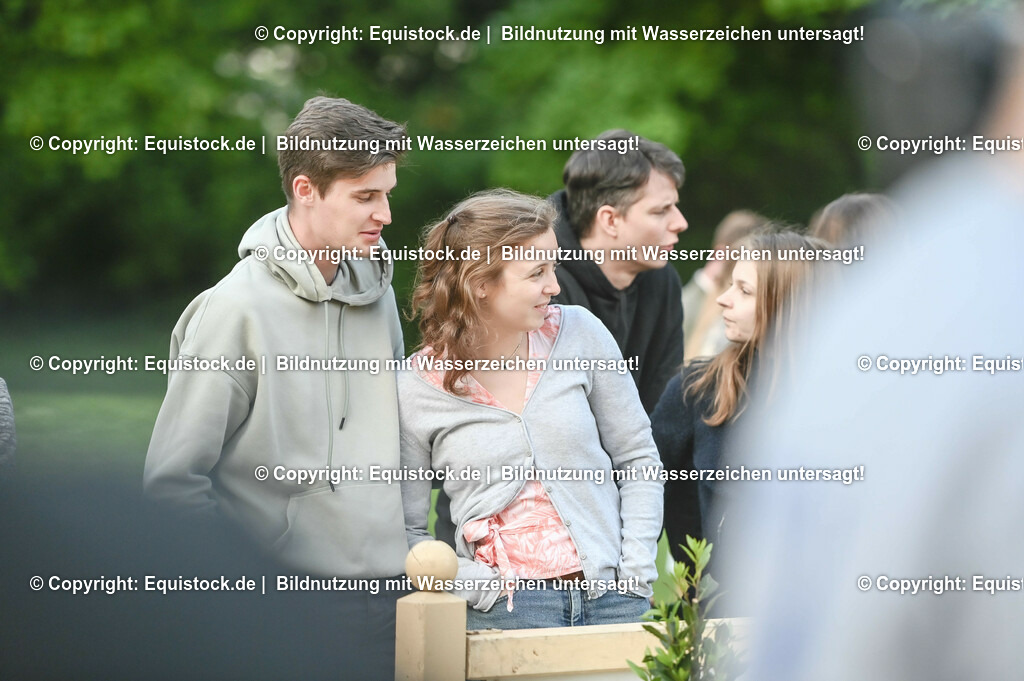 D78_3397 | equistock