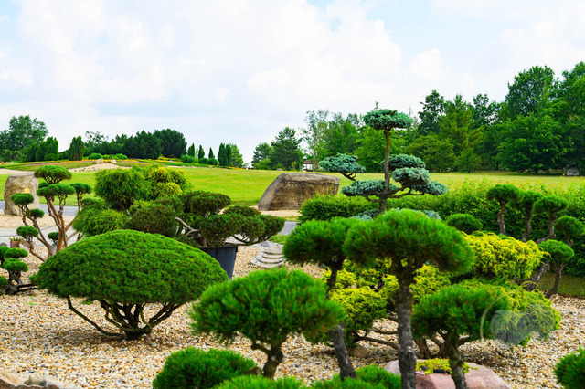 _DSC1333 | Shop für Prints Landschaftsfotografie Sächsische Schweiz Naturfotografie in Thüringen Fotos vom Findlingspark Nochten Kloster Sankt Marienstern Bilder Festung Königstein PanoramaRhododendronpark Kromlau FotogalerSchleswig-Holstein Küstenlandschaften