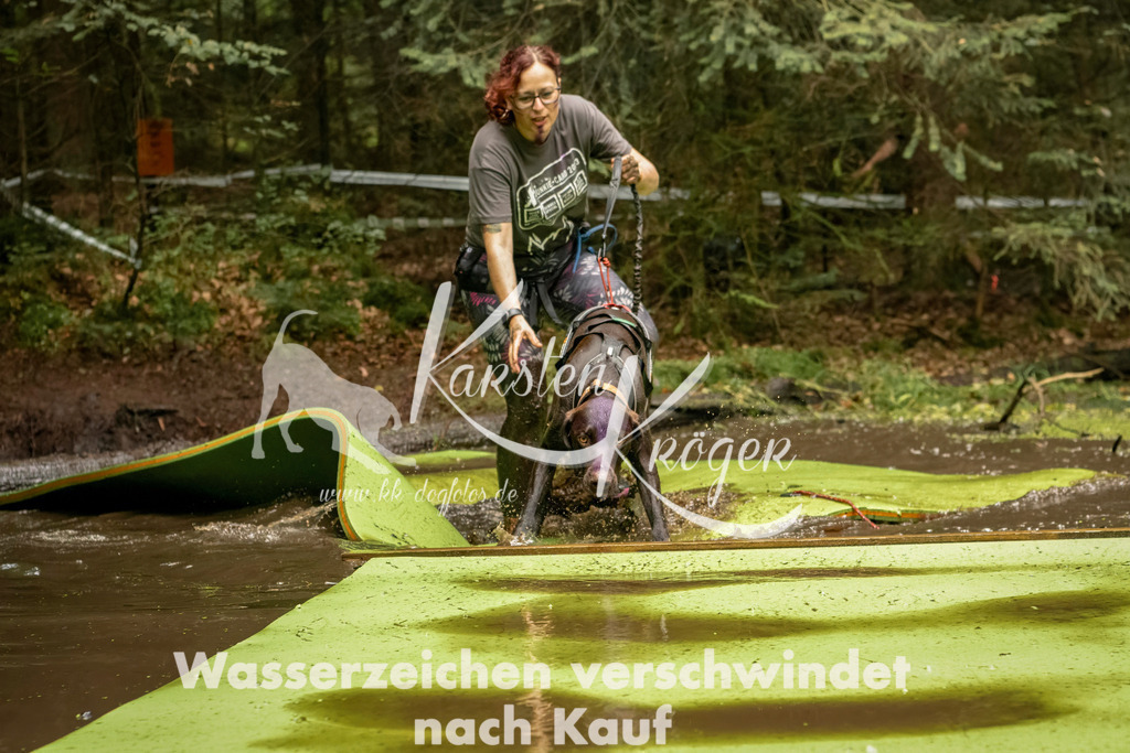 1211_ZZ93002-Bearbeitet | kk-dogfotos