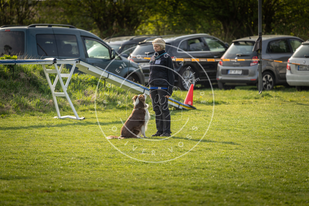 Pfotenfotografie_DV3A4796 | Hundefotografie, Tierfotograf, Pfotenfotografie, Fotoshooting Hund, Hunde Portrait, Hundesport, Hundeportraits, Heideshooting, Hunde, Sportfotograf, Hundefotograf, Turnierhundsport, THS,  - Realisiert mit Pictrs.com