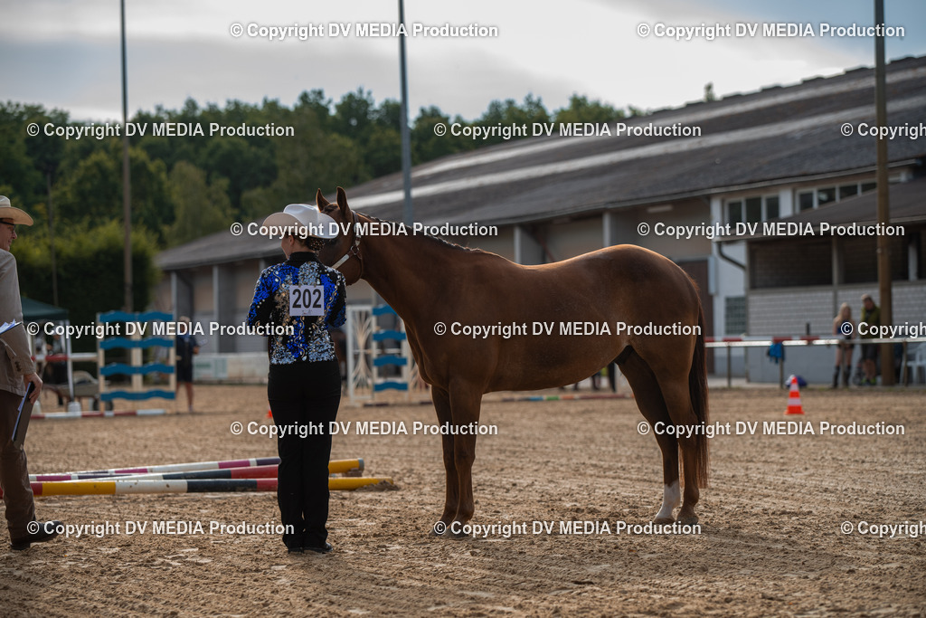 EWP_5573 | dv-media-shop - Realisiert mit Pictrs.com