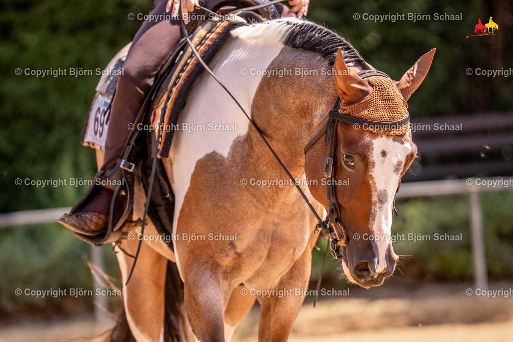 LMB03940 | BS-foto