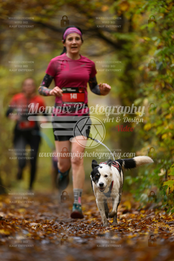 MompixPhotography_CD7S_DI_CCL-132 | mompixphotography