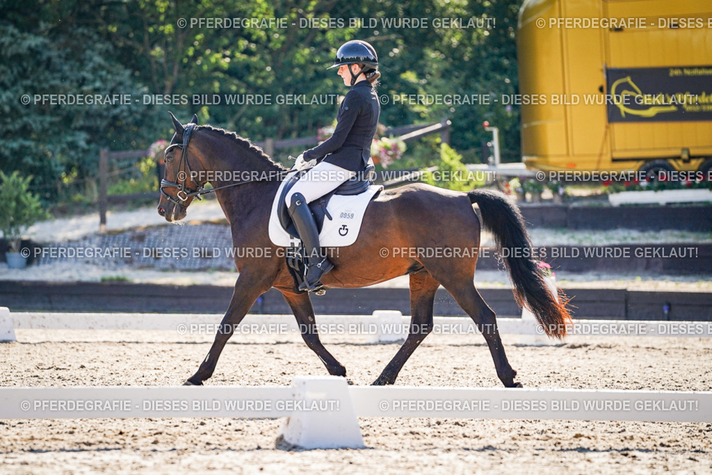 DSC09962 | Pferdegrafie