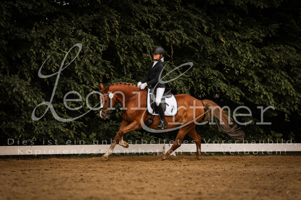 DoDrE00444 | Leoni Ertmer Photography - Realisiert mit Pictrs.com