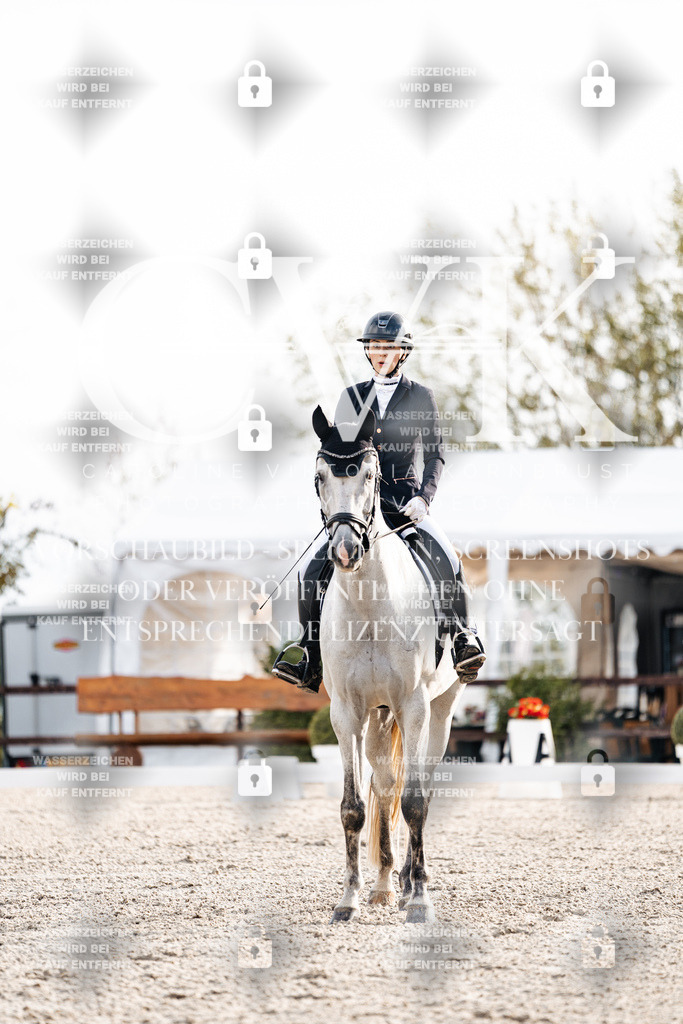 CK900483 | Turnierfotografie Pferdefotografie Trier Rheinland-Pfalz Pferdesport Reitsport Tierfotografie Sportfotografie Pferdevideo Pferdevideografie Equestrianvideography equestrianphotography  - Realisiert mit Pictrs.com