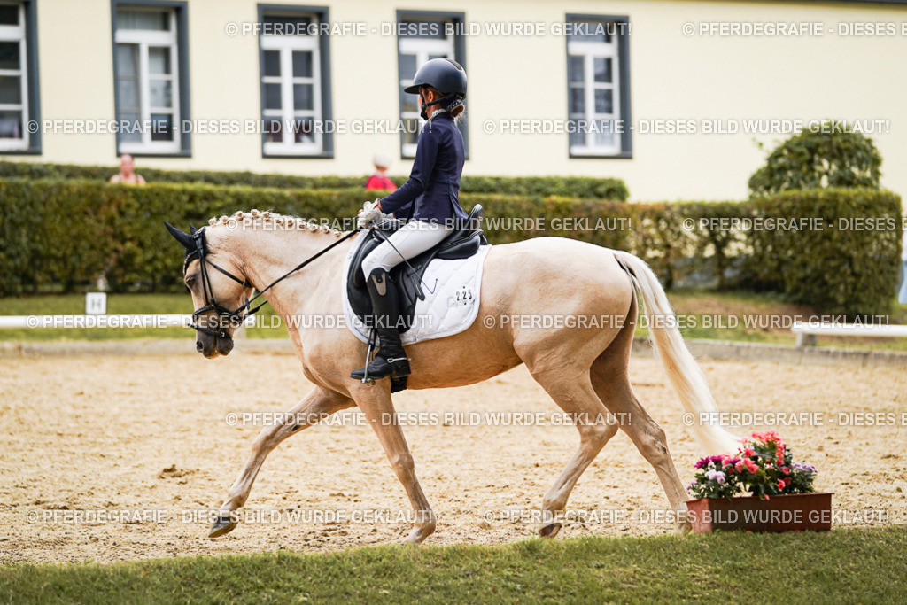 DSC00491 | Pferdegrafie