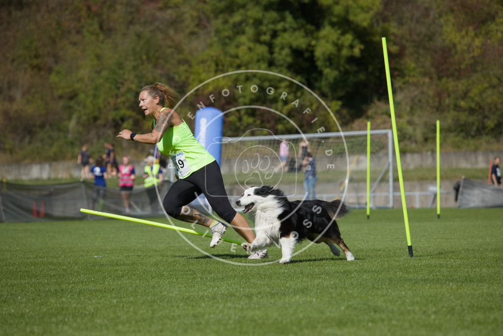 0L8A5950 | Hundefotografie, Tierfotograf, Pfotenfotografie, Fotoshooting Hund, Hunde Portrait, Hundesport, Hundeportraits, Heideshooting, Hunde, Sportfotograf, Hundefotograf, Turnierhundsport, THS,  - Realisiert mit Pictrs.com