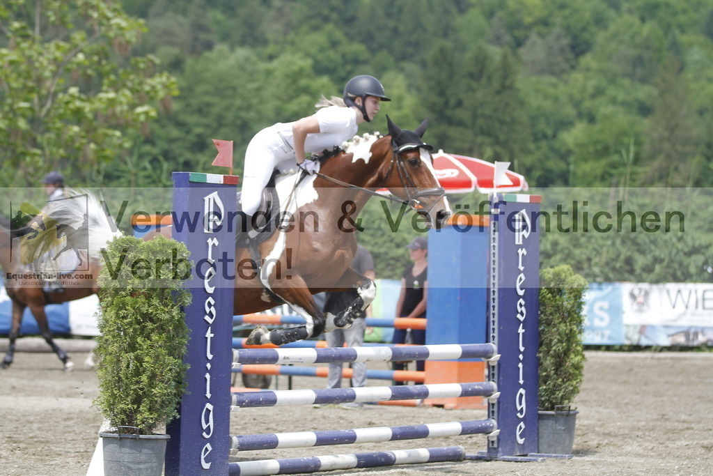 _MG_5317 | equestrian-live-com