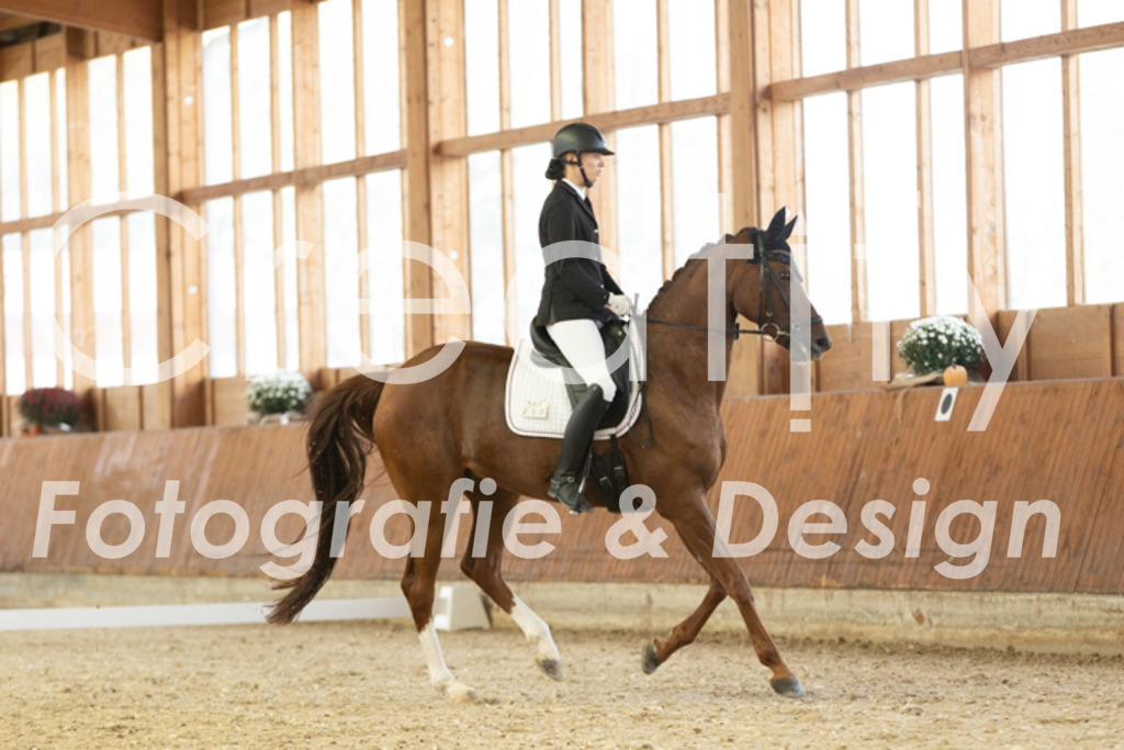 IMG_1260 | Creatify Fotografie