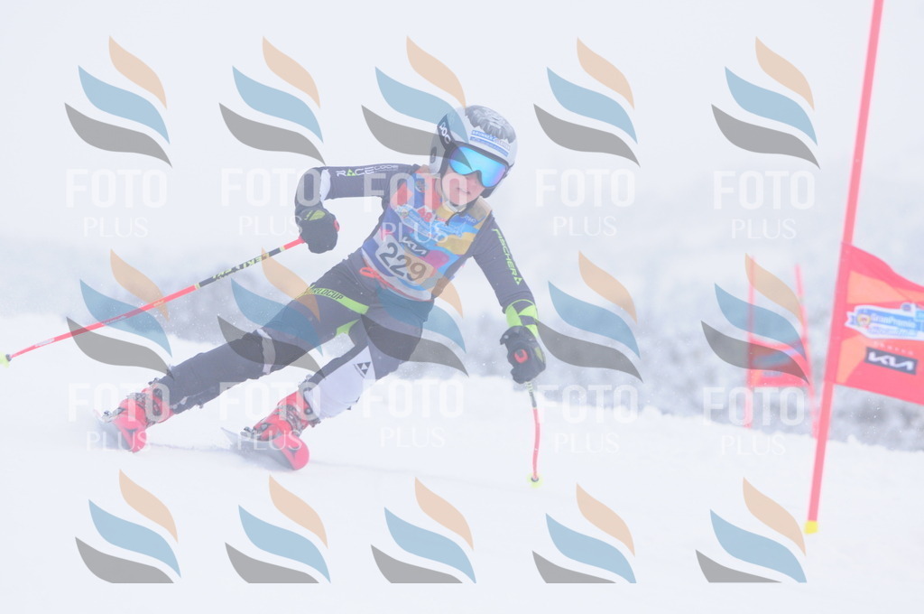 C2404 | holidayphoto