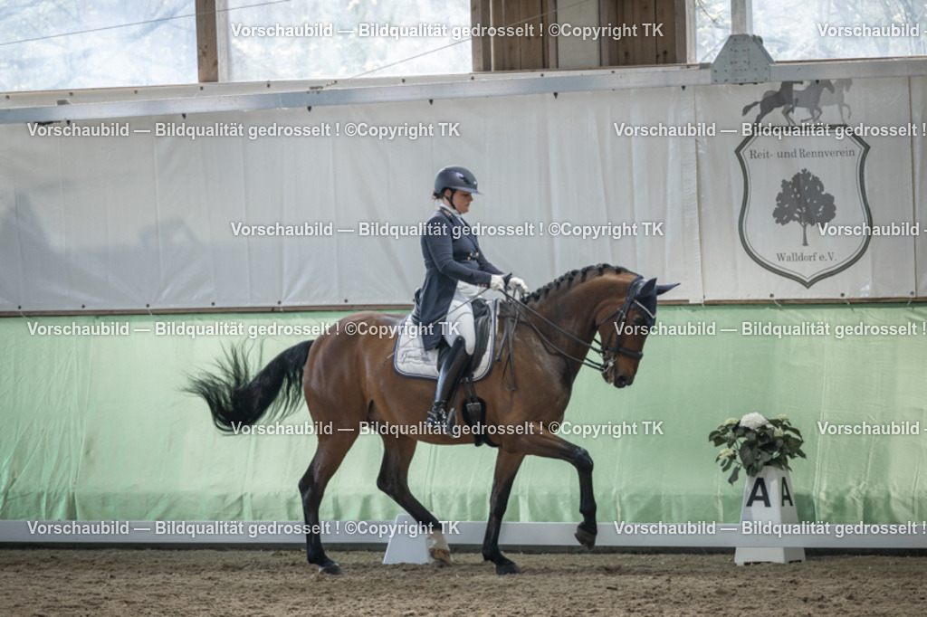 _D5A6593 | Emotionale Pferde- & People-Fotografie rund um Heidelberg, Leimen & Umgebung. Natürliche Fotos von Pferd, Mensch & Familie. Jetzt Termin sichern!