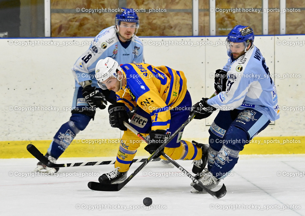  EHC Althofen vs. ESC Steindorf 9.3.202 | #67 Schettina Kevin, #57 Wilfan Franz