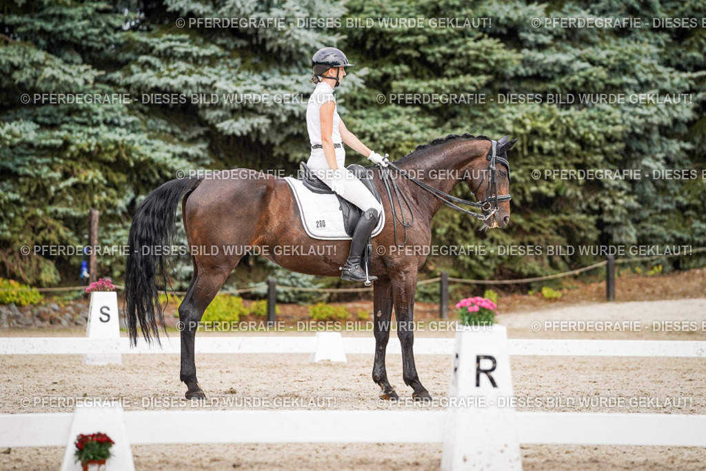 DSC06680 | Pferdegrafie