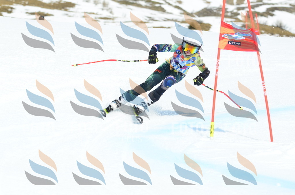 _ELE2415 | holidayphoto