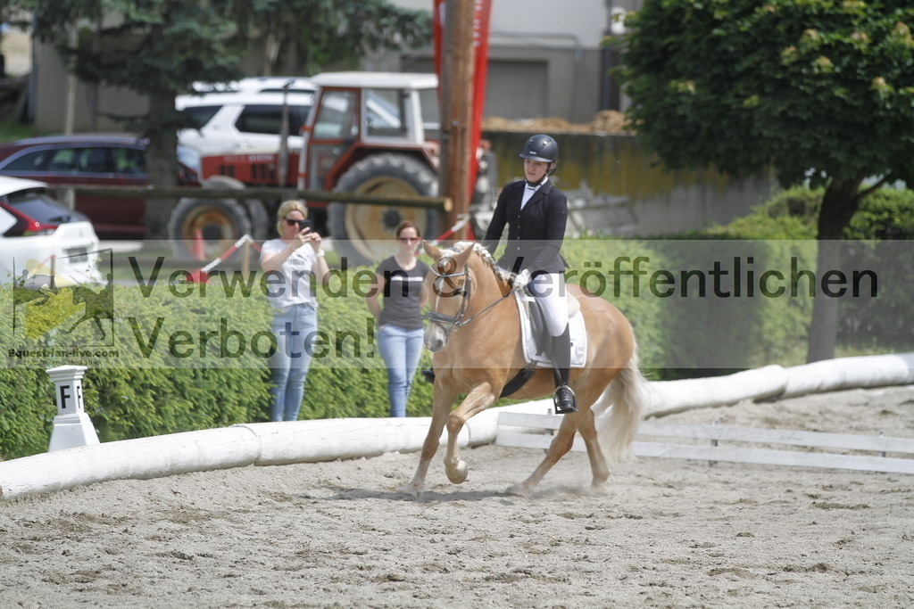 _MG_8751 | equestrian-live-com