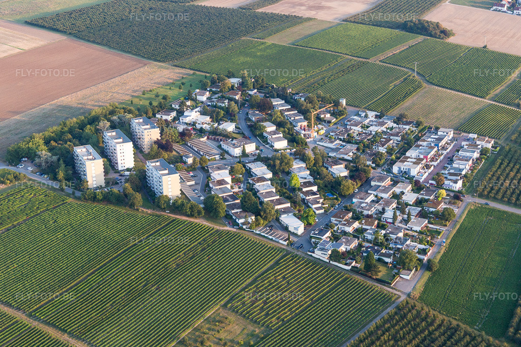 Luftbild: Stadtteil Goldbergstraße im Stadtgebiet in Nieder-Olm im Bundesland Rheinland-Pfalz in Deutschland. Foto: IMG_094724.jpg vom 21.09.2016 durch Werner Riehm/FLY-FOTO.de