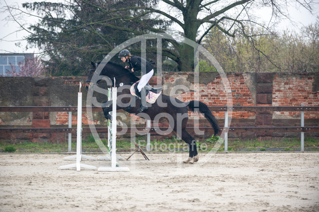 DSC_8917 | sattelsport - Realisiert mit Pictrs.com