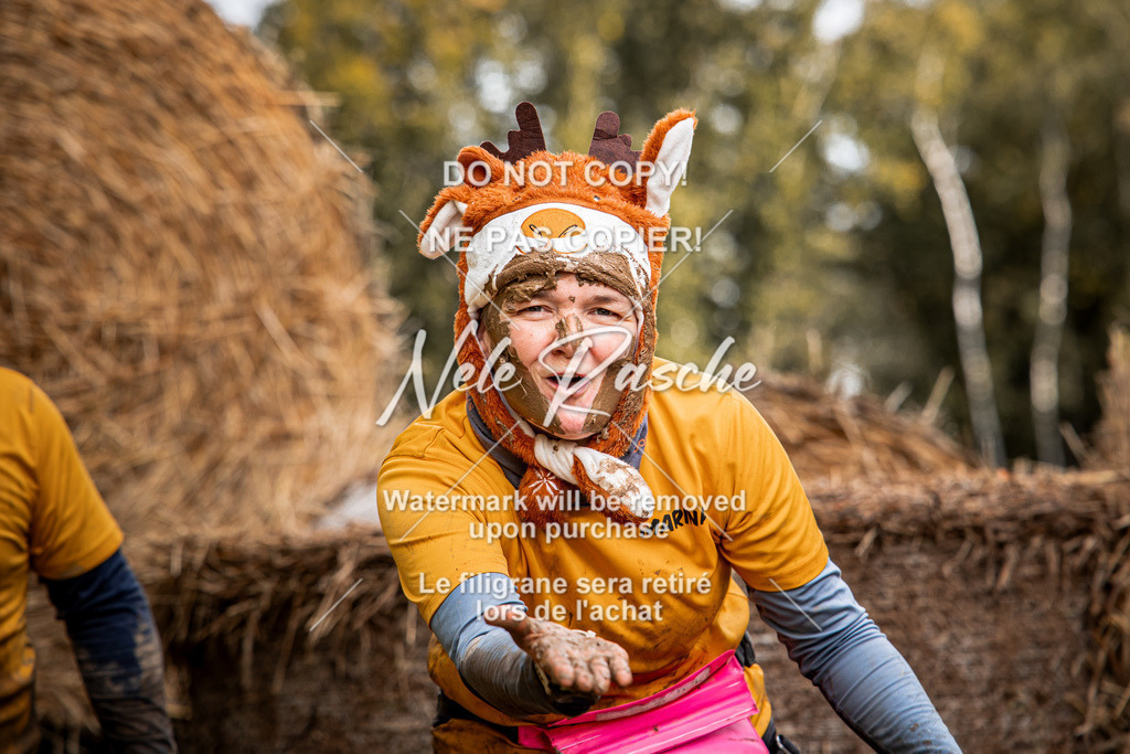 nelerasche_Hunsrück_So09-11_407 | nelerasche