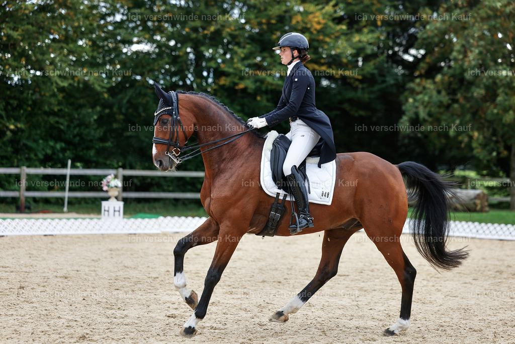 11-048-Dressur S___-StoibPH-1404 | working equitationturnier fotograf videograf stoibphotography marixx film working equitation deutschland reitsport turnierfotografie eventfotografie equestrian events