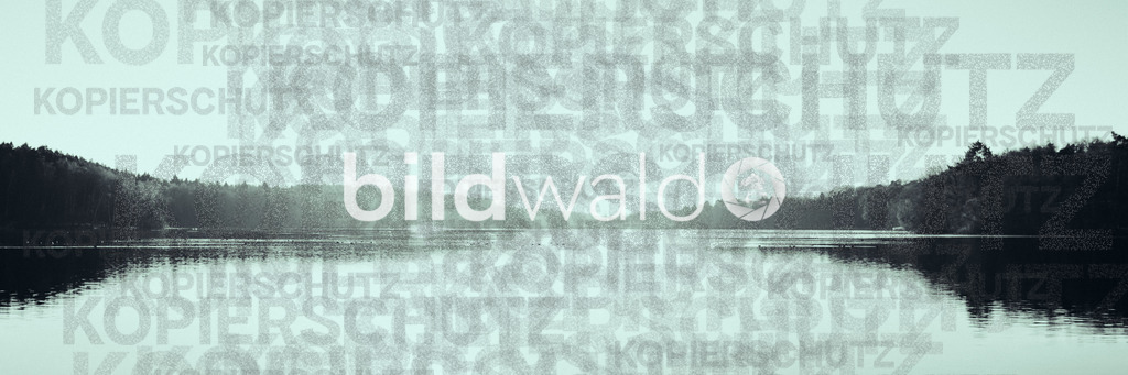 Großensee Nordstrand | BILDWALD - eine Auswahl an Bildern von Thomas Perrotton zum bestellen und genießen. Alle Bilder von Thomas Perrotton - Alle Bilder mit einer SONY Kamera gemacht - SONY TAMRON SIGMA PHOTOSHOP LIGHTROOM BILDWALD Online kaufen Bilderwald Wandbilder - Realisiert mit Pictrs.com