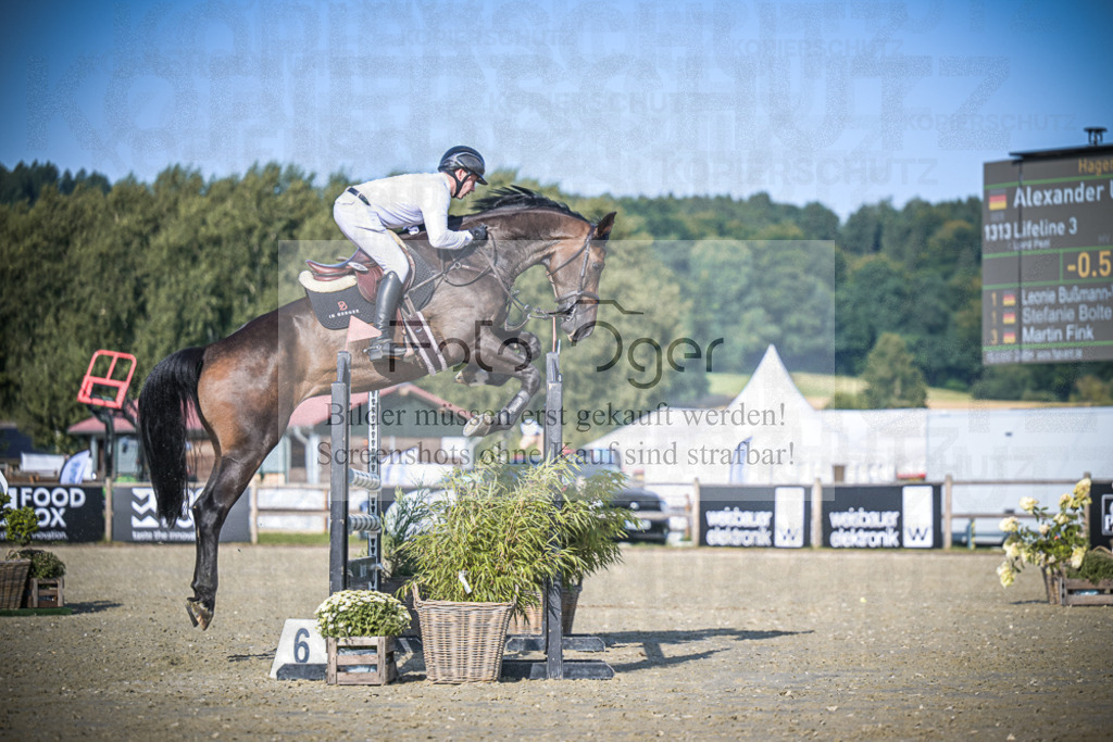 DOS_2973 | Entdecke hochwertige Reitturnierfotos von Foto Oger. Professionell, emotional und authentisch – jetzt Lieblingsmomente im Shop bestellen.Deutschlandweite Turnierfotografie. - Realisiert mit Pictrs.com
