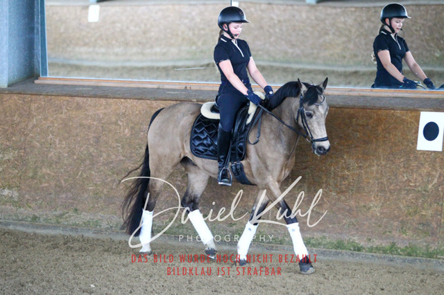 DKP42797 | Turniersportfotografie; Pferdefotografie; Dressurfotografie