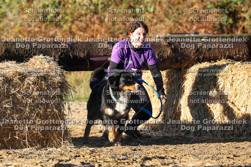 Dog Paparazzi - Strongdog 10-25-1071 | Dog Paparazzi Jeanette Grottendiek Fotografie & Videografie - Realisiert mit Pictrs.com